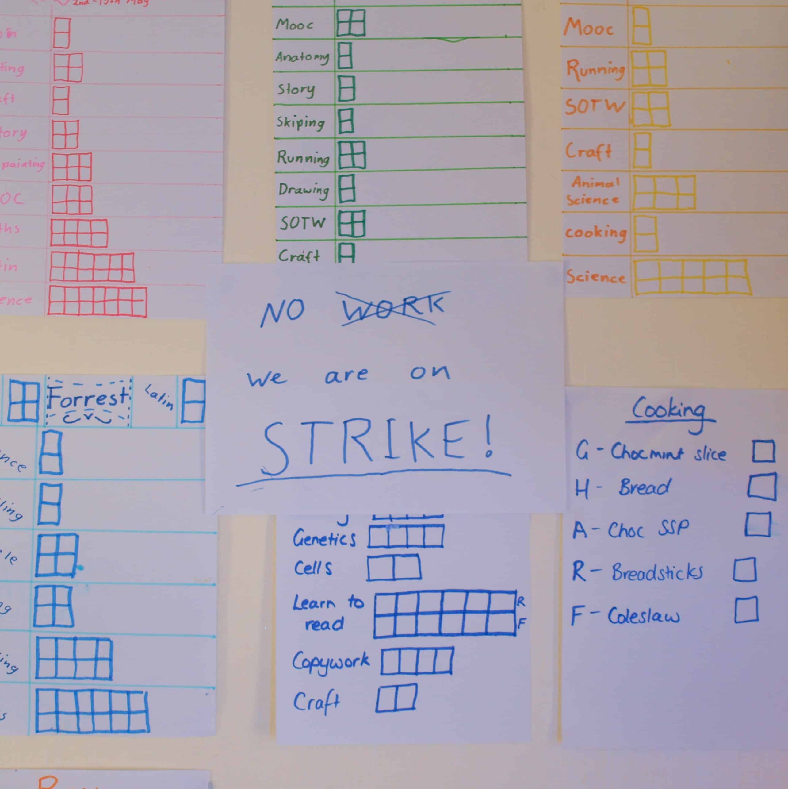 Homeschool checklists - my homeschoold kids have gone on strike! Fearless Homeschool.