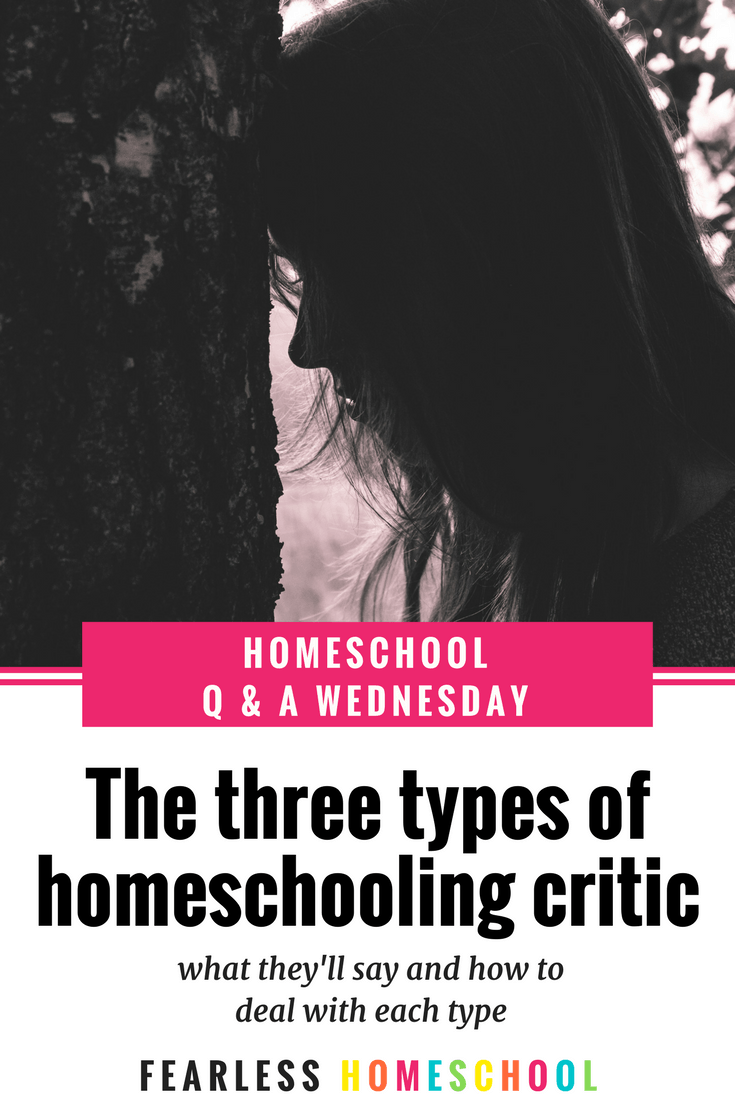 The three types of homeschooling critic and how to deal with each one - Fearless Homeschool
