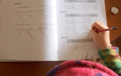 How I homeschool grammar (without knowing it myself)
