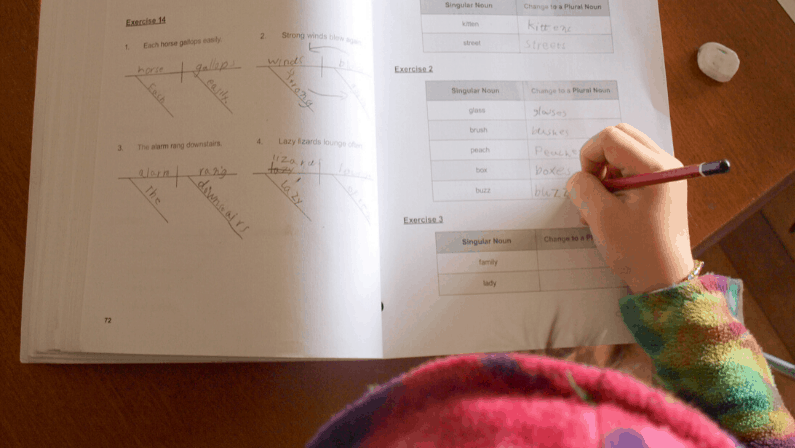 How I homeschool grammar (without knowing it myself)