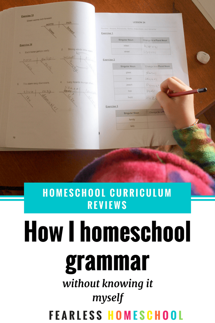How we Homeschool Grammar - review of First Language Lessons, Grammar Galaxy, and Grammarly