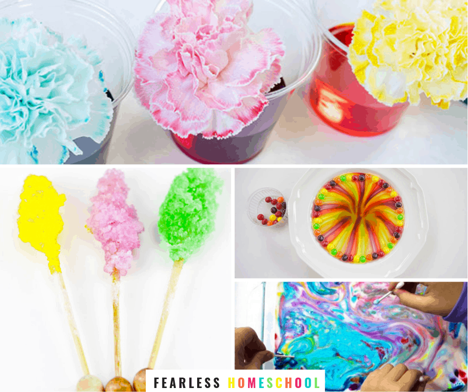 25+ Easy and Fun Science Experiments for Kids