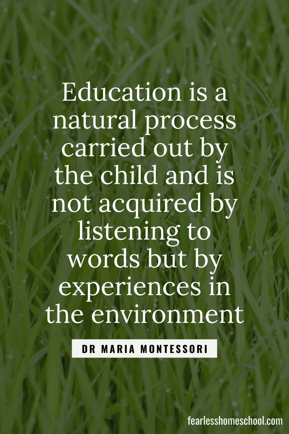 Education is a natural process carried out by the child and is not acquired by listening to words but by experiences in the environment dr maria montessori homeschooling quote